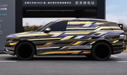 ssbbw视频,揭秘网络红人的魅力与争议